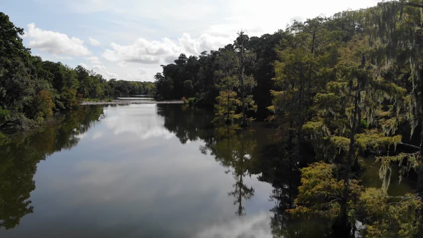 Drone fly by of trees in the San Jacinto River near Houston, Texas