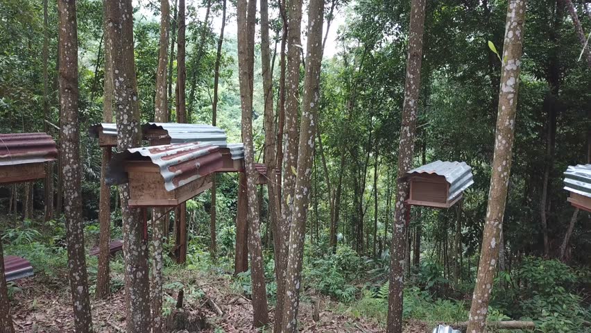 wooden bee farm at malaysia