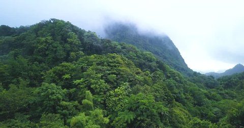 Drone view of a tropical rainforest mountain with clouds and mist