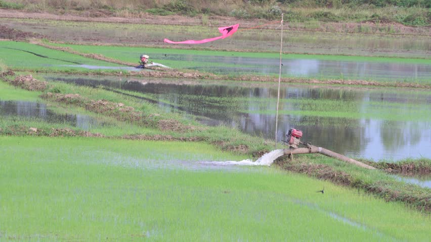 Water pumping in agricultural field