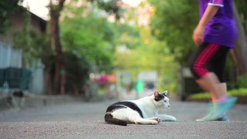 Black and White Chilling Among People Walking, Jogging and Exercise in Park