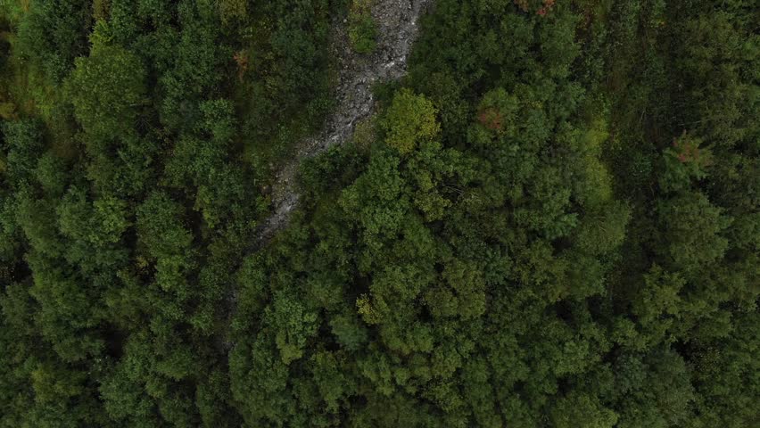Jeg bærer tøj Eksklusiv digital Creek in Forrest Steady Drone Stock Footage Video (100% Royalty-free)  1021844770 | Shutterstock