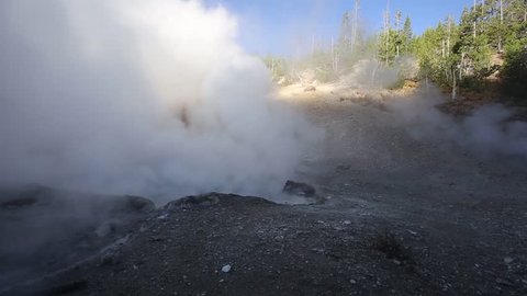 Videos from holiday in National Park Yellowstone, USA. Amazing nature, geysers, rivers, places.
