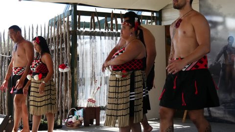 Maori Haka performance in Whakarewarewa thermal valley in Rotorua New Zealand