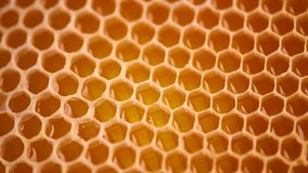 Honeycomb. Honey comb full of fresh organic sweet honey, yellow background, cells. Healthy food concept, diet, dieting. Rotated background, rotating backdrop. 4K UHD video, slow motion