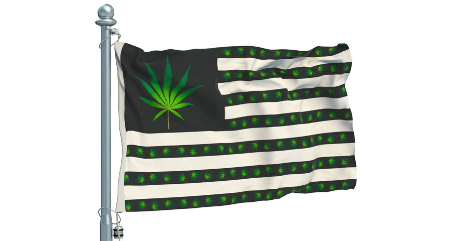 Legalization of cannabis in US concept. USA flag with marijuana leafs waving on white background, animation. 3D rendering