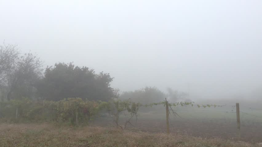 A Morning Big Fog In The Graden Village Crimea , Russia Panorama