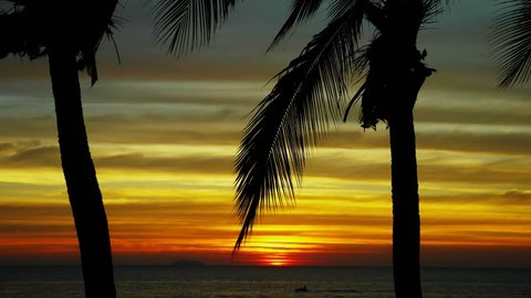 silhouette of a coconut palm tree against the backdrop of a beautiful sunset on a tropical beach.