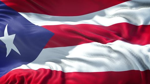 Realistic Flag of Puerto Rico Loop