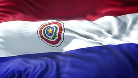 Realistic Flag of Paraguay Loop