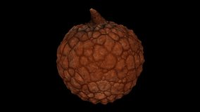 Realistic render of a rotating, partially peeled lychee on black background. The video is seamlessly looping, and the object is 3D scanned from a real fruit.
