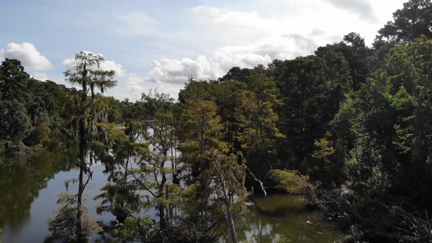 Drone ascending and aerial view of tree in and along the San Jacinto river near Houston, Texas