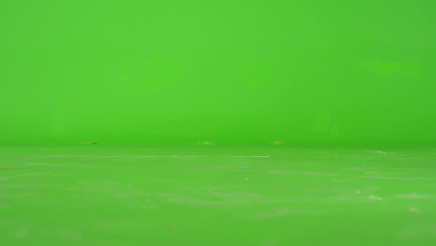 Black Cat walking, running or sitting on green screen. Shot on RED EPIC DRAGON Cinema Camera in Slow Motion.