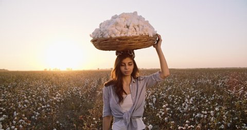 Cotton harvesting. Young indian female harvester walking down the blooming cotton field, and carrying a plate full of fiber on her head - agriculture, manual labor 4k