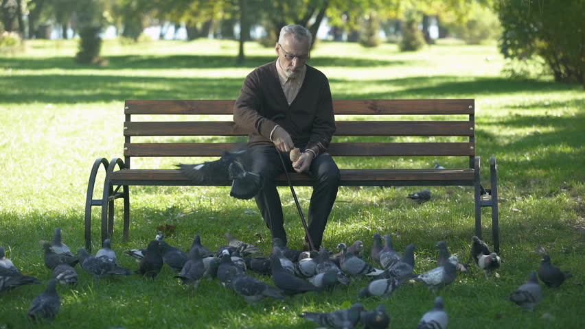 calm old man sitting on bench: стоковое видео (без лицензионных платежей), ...