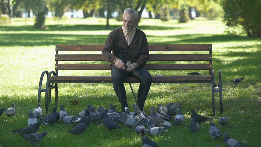 Smiling elderly man relaxing and feeding pigeons in park, happy retirement