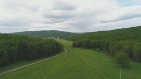 top view of the meadow in the forest with planting trees, aerial photography with drone on the forest