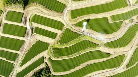 Aerial View over the Tea Leaf Farm, Kagoshima - Japan