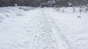 Slow flight above snowed forest trail 4K drone video