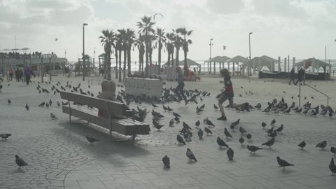 Pigeons get scare off by kids on the beach promenade of Israel