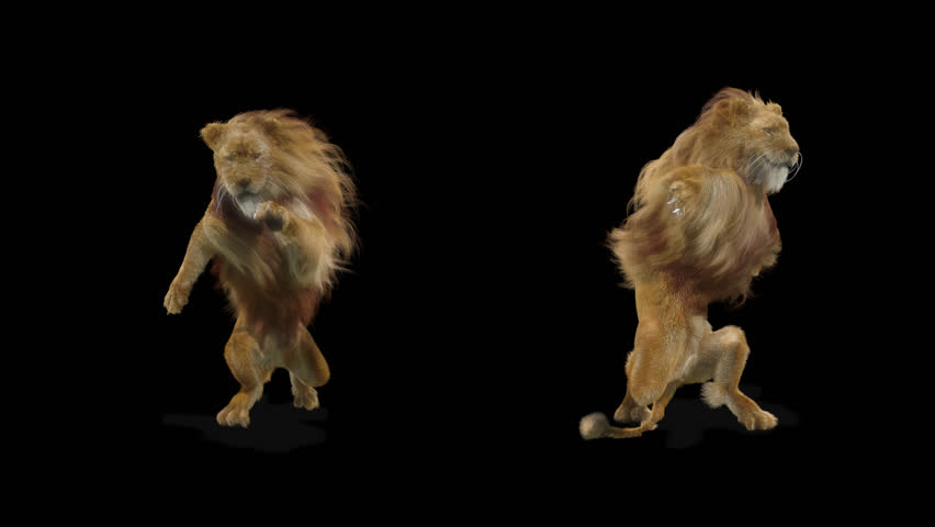 Lion Cg Fur 3d Rendering の動画素材 ロイヤリティフリー Shutterstock