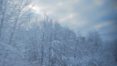 train travel in winter. view from the window. snow-covered landscapes and forest