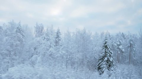 train travel in winter. view from the window. snow-covered landscapes and forest