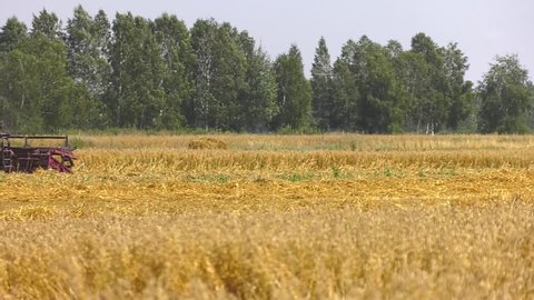 Bryansk, Russia. 08.29.2018: Grain harvesting combine. A farmer in a red combine harvests grain from the field. Combine removes oats on the field. 
