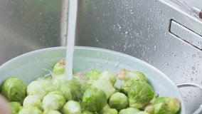 washing raw Brussels sprouts in kitchen sink 4k Viedo