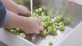 washing raw Brussels sprouts in kitchen sink 4k Viedo