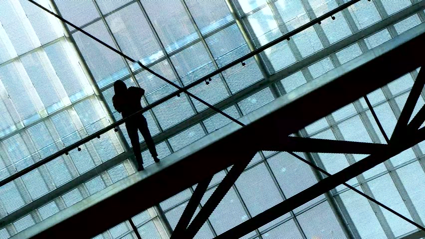 Silhouettes of People inside the structure of financial company or public place with large glass windows. Contrast background | Shutterstock HD Video #1021984663