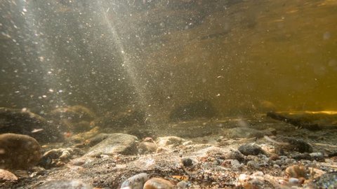 Underwater cinemagraph of sunbeams over lake bottom with particles falling on gravel sediment. Loopable motion background.