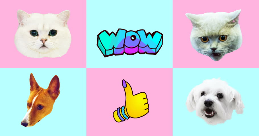 Animation gif set. Funny Animals. Cat and Dog gif faces Royalty-Free Stock Footage #1021997452