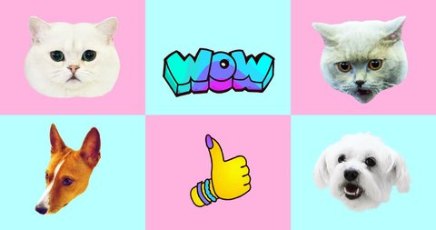 Animation gif set. Funny Animals. Cat and Dog gif faces