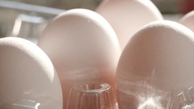 Close up footage of male hand putting white chicken egg in a plastic carton on wooden table.