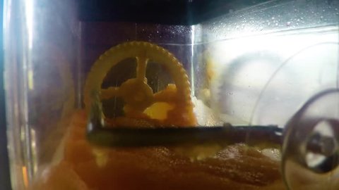 Flavored Ice Machine with orange slush.