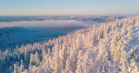Aerial winter nature nordic landscape snowy mountain forest on sunset