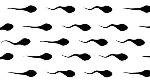 Animation loop bacground Spermatozoon icon. moving white spermatozoid. backgrounds texture