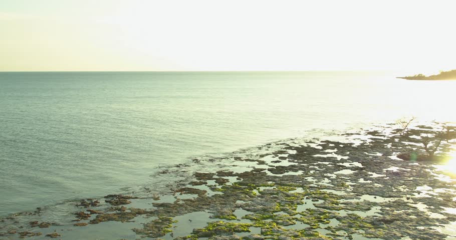 Florida Keys nature landscape Overseas Highway 4k 60p