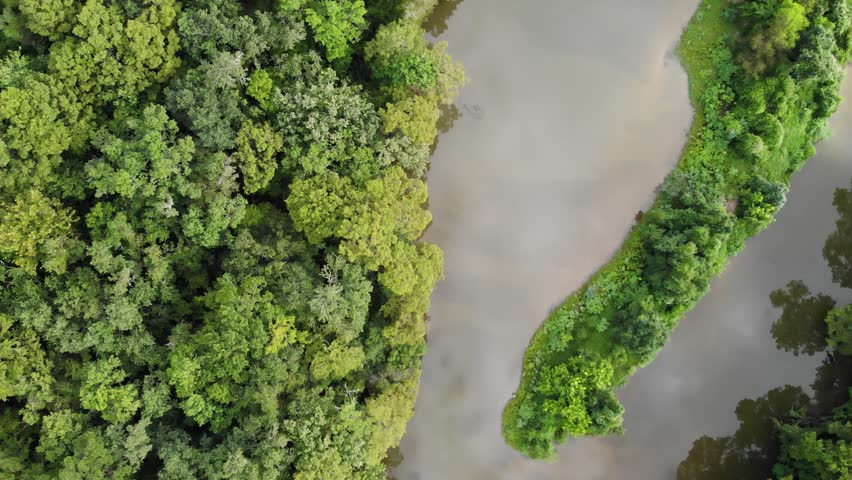 Aerial drone footage of the San Jacinto River and forest near Houston, Texas