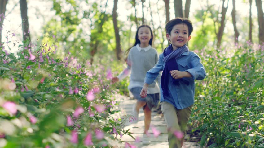 Beautiful little asian girl and boy sister and brother running on flagstone path through flower blossom in park | Shutterstock HD Video #1022037610