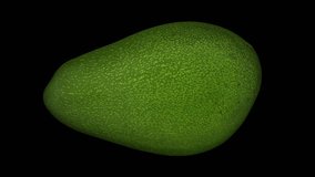 Realistic render of a rotating green Florida avocado (cut in half with pit) on black background. The video is seamlessly looping, and the object is 3D scanned from a real avocado.

