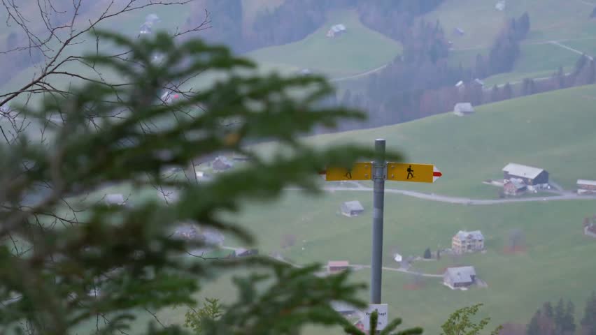Sliding shot behind a pine tree to show a trail sign in Switzerland.
