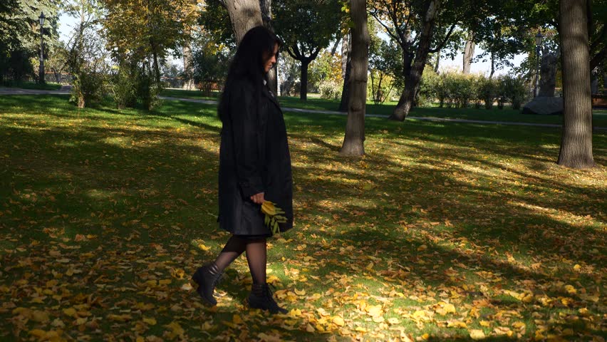 Pretty Brunette Girl Gathers Yellow Leaves On Green Grass In City Park. Sunny Morning. Autumn Season