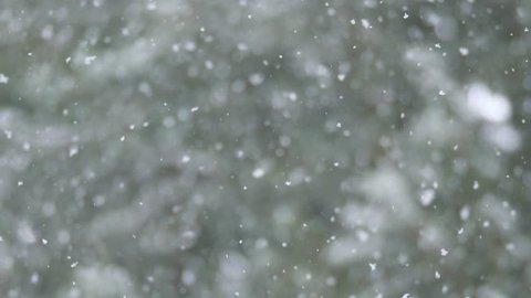 Slow motion, close up shot of snow, camera follows snowflake as it falls.