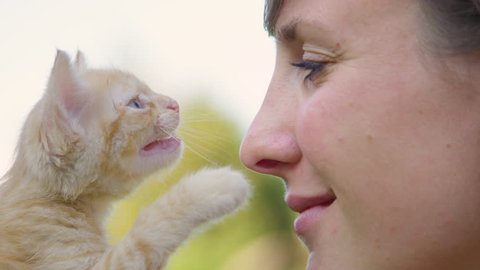 SLOW MOTION, CLOSE UP, DOF: Adorable orange tabby kitten meows and gently touches the young woman's nose. Lovely close up shot of a cheerful Caucasian girl holding curious baby cat meowing and purring