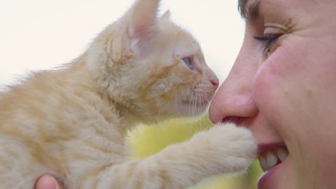 CLOSE UP, DOF, SLOW MOTION: Loving young Caucasian woman holding up an orange colored baby cat. Adorable little tabby cat meows and smells smiling girl's face. Cute shot of happy woman and her kitten.