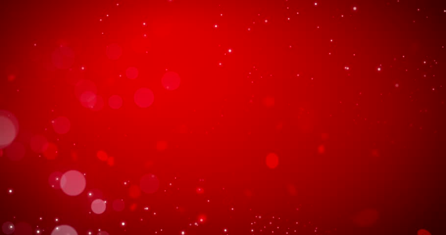 Shutterstock Video