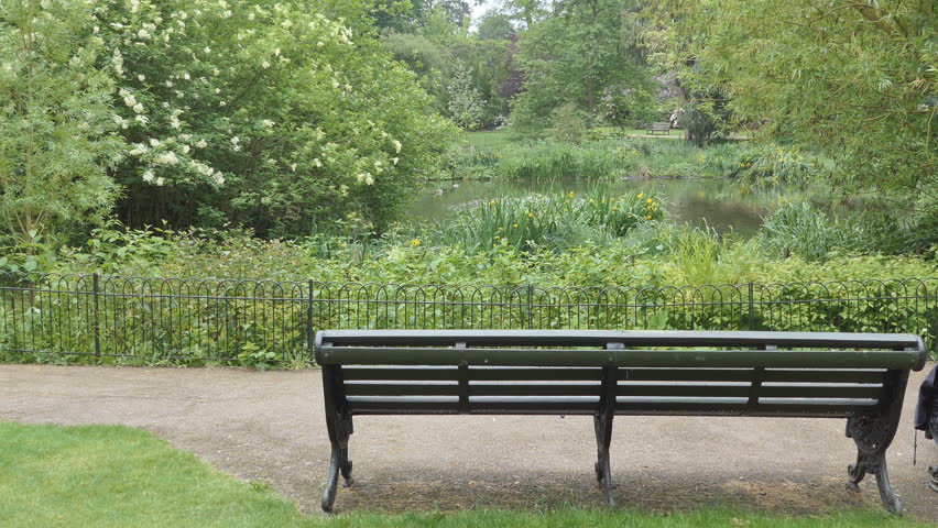 A bench in a park in summer.