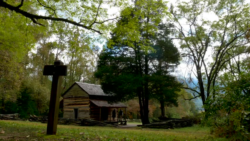 Cabin in the woods with tourists, motion time-lapse.